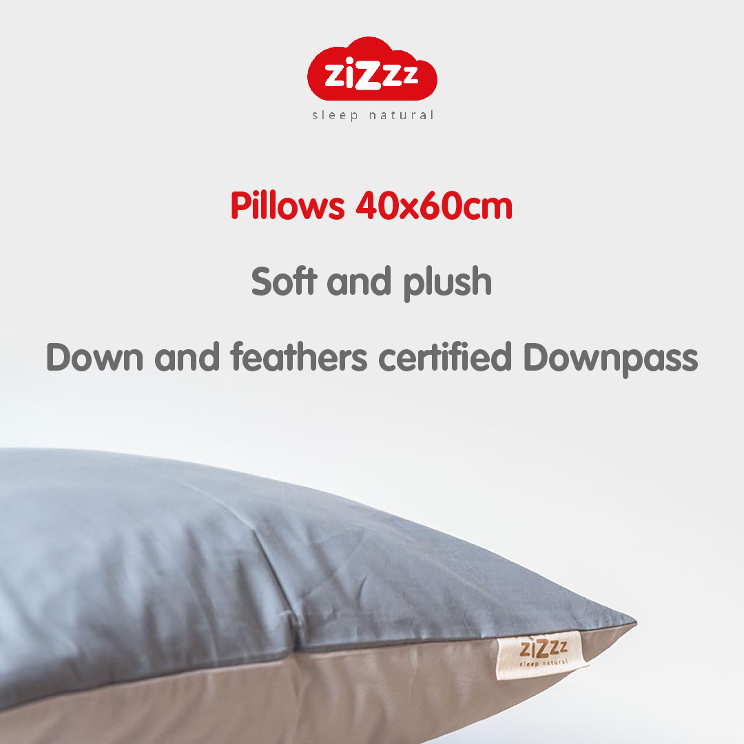Pillows 40x60