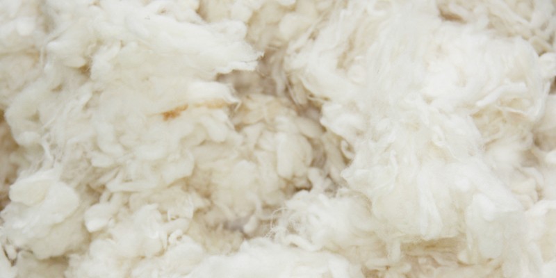 For better sleep: wool instead of down feather